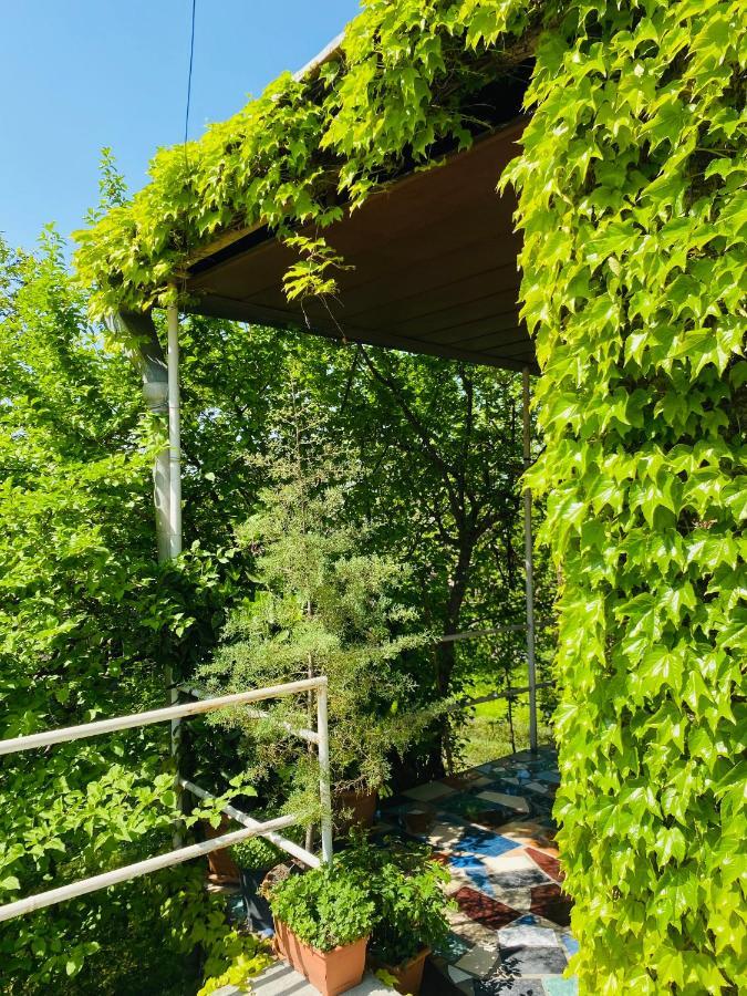 Green House Hotel Lagodehi Exterior foto