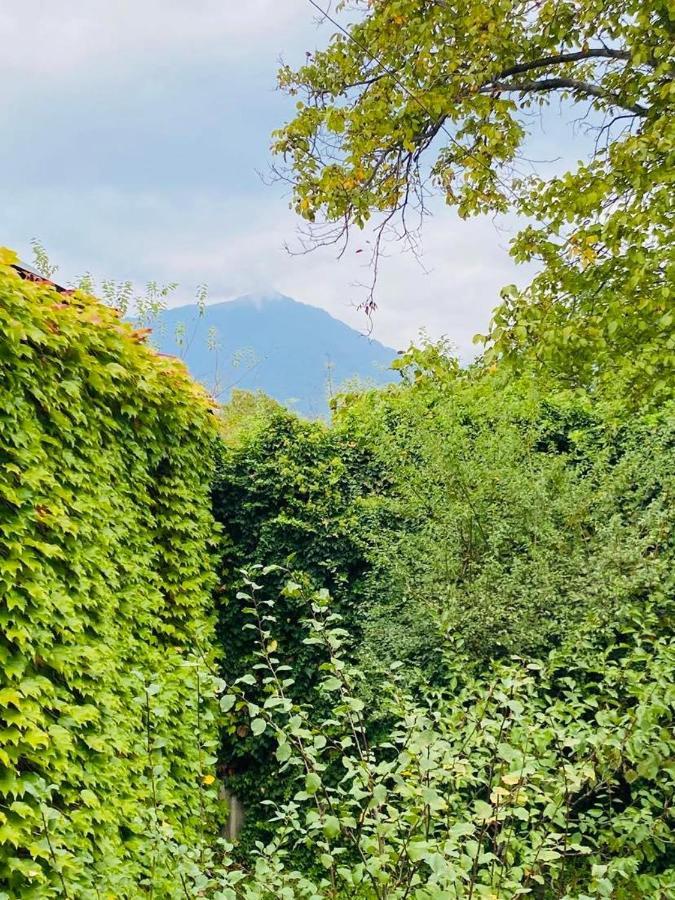 Green House Hotel Lagodehi Exterior foto